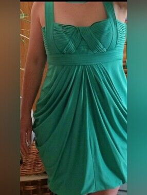 BCBG Green Gathered Dress Large
